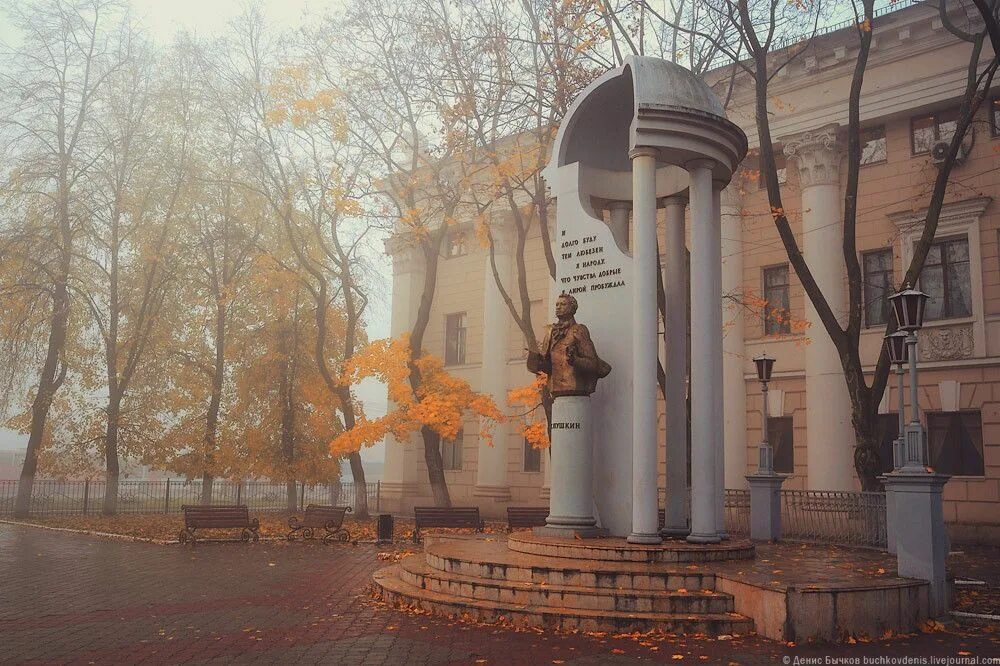 Воронеж осень 2024. Воронеж осень 2024. Парк динамо воронеж. Пейзажи воронеж осень. Золотая осень в воронеже.