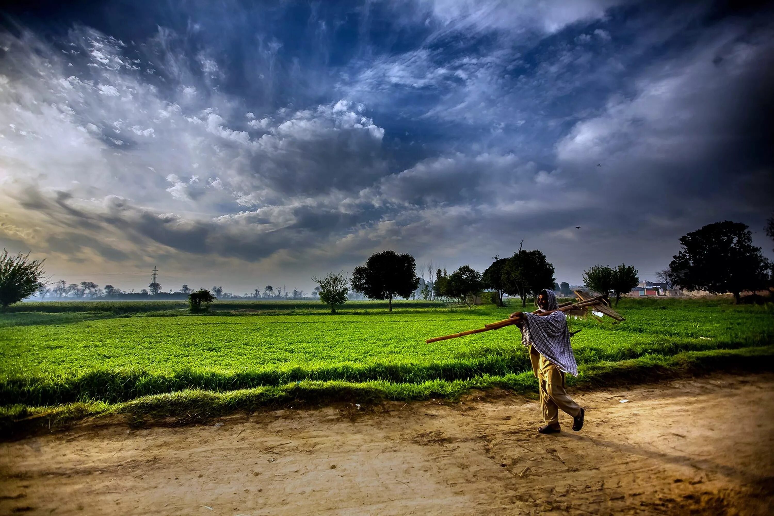 Мужской пейзаж. Farmer природа. Фермер HD. Field people