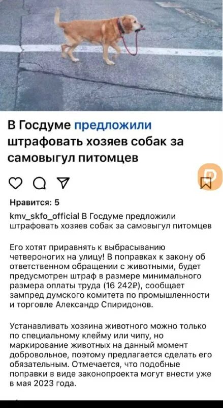 штраф за самовыгул собак