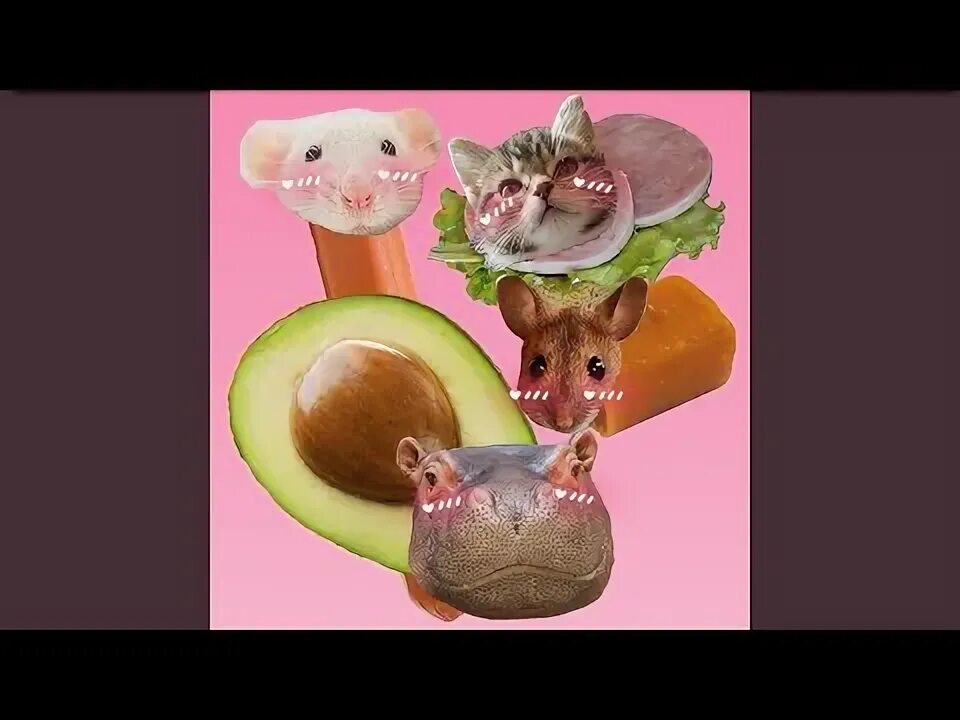 Бегемот и мышь меню. Мышка сосиска крыска ириска кот бутерброд авокадо бегемот. бегемот и мышь дмитров меню.