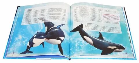 Книга киты дельфины