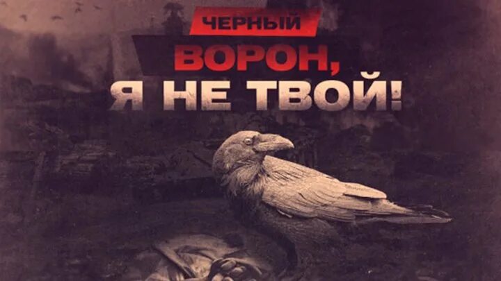 Русские народные песни черный ворон. Чёрный ворон песня. Черный ворон я не твой. Чëрны воран янитвой. Чёрный ворон песня песня.