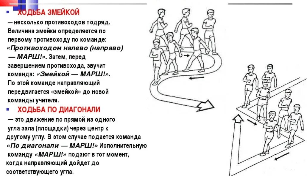 Ходьба змейкой и противоходом. Передвижение по диагонали противоходом змейкой. Бег змейкой противоходом по диагонали. Передвижения в физкультуре. Какие команды подаются для изменения направления движения