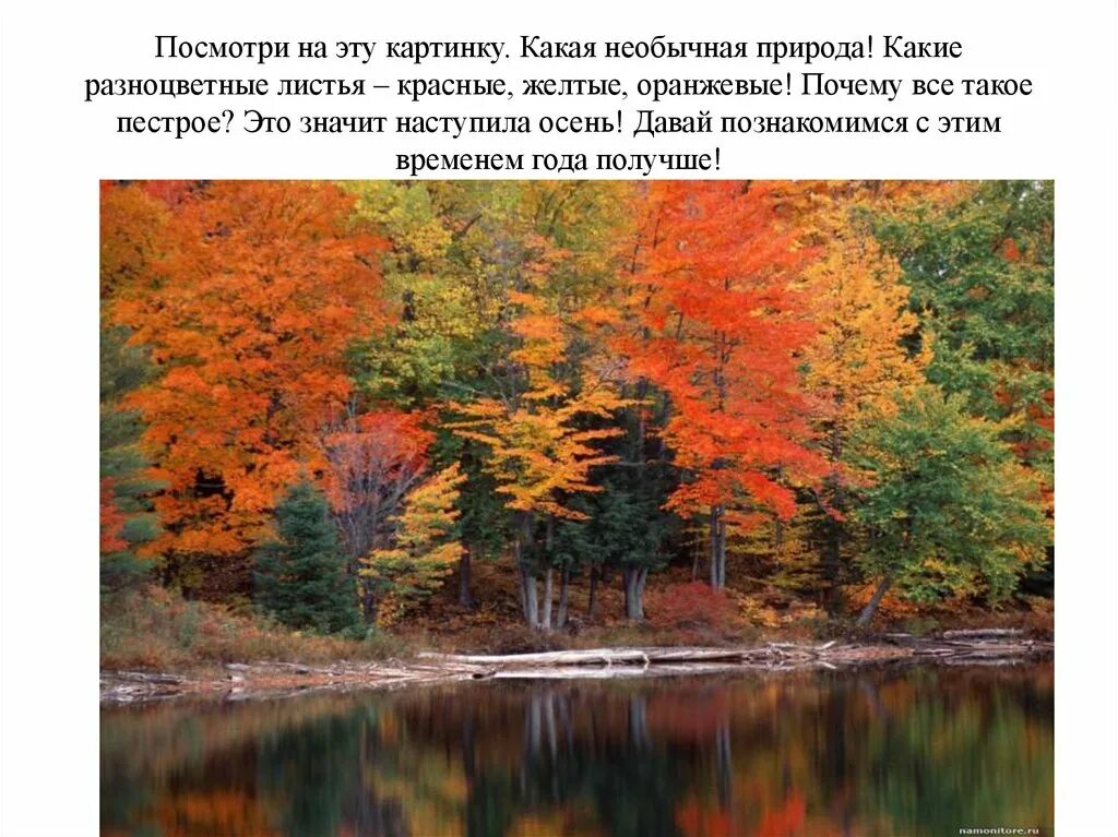 Презентация осень. Презентация природа осенью. Презентация для детей осень. Признаки осени презентация. Проект природа осенью.