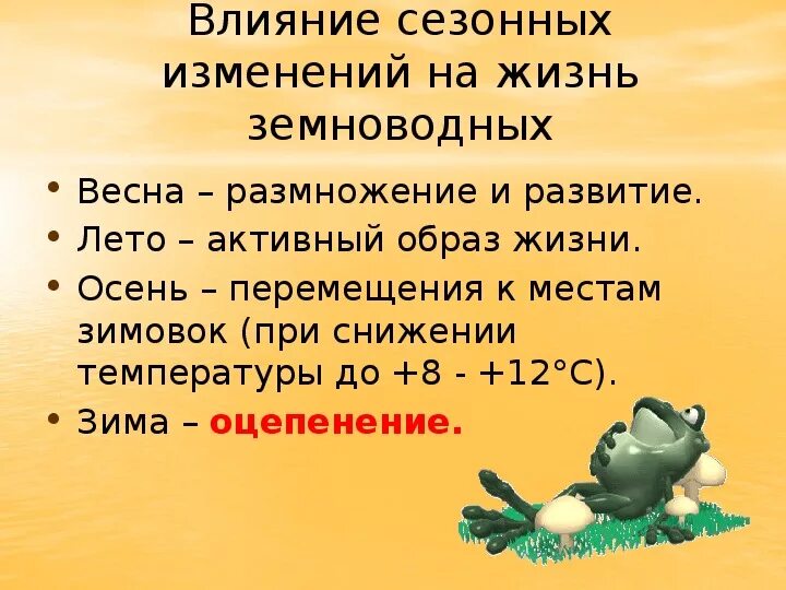 Сезонные изменения в жизни земноводных. Влияние сезонных изменений на жизнь земноводных. Сезонные изменения в жизни земноводных 7 класс. Развитие земноводных.