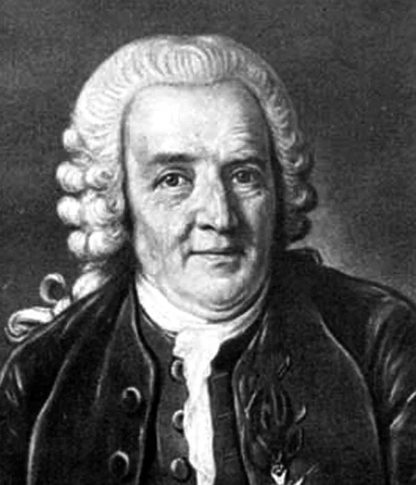 Система природы 1735 линней. Линней 1735. Линней 1735. Линней 1735. Линней 1735.