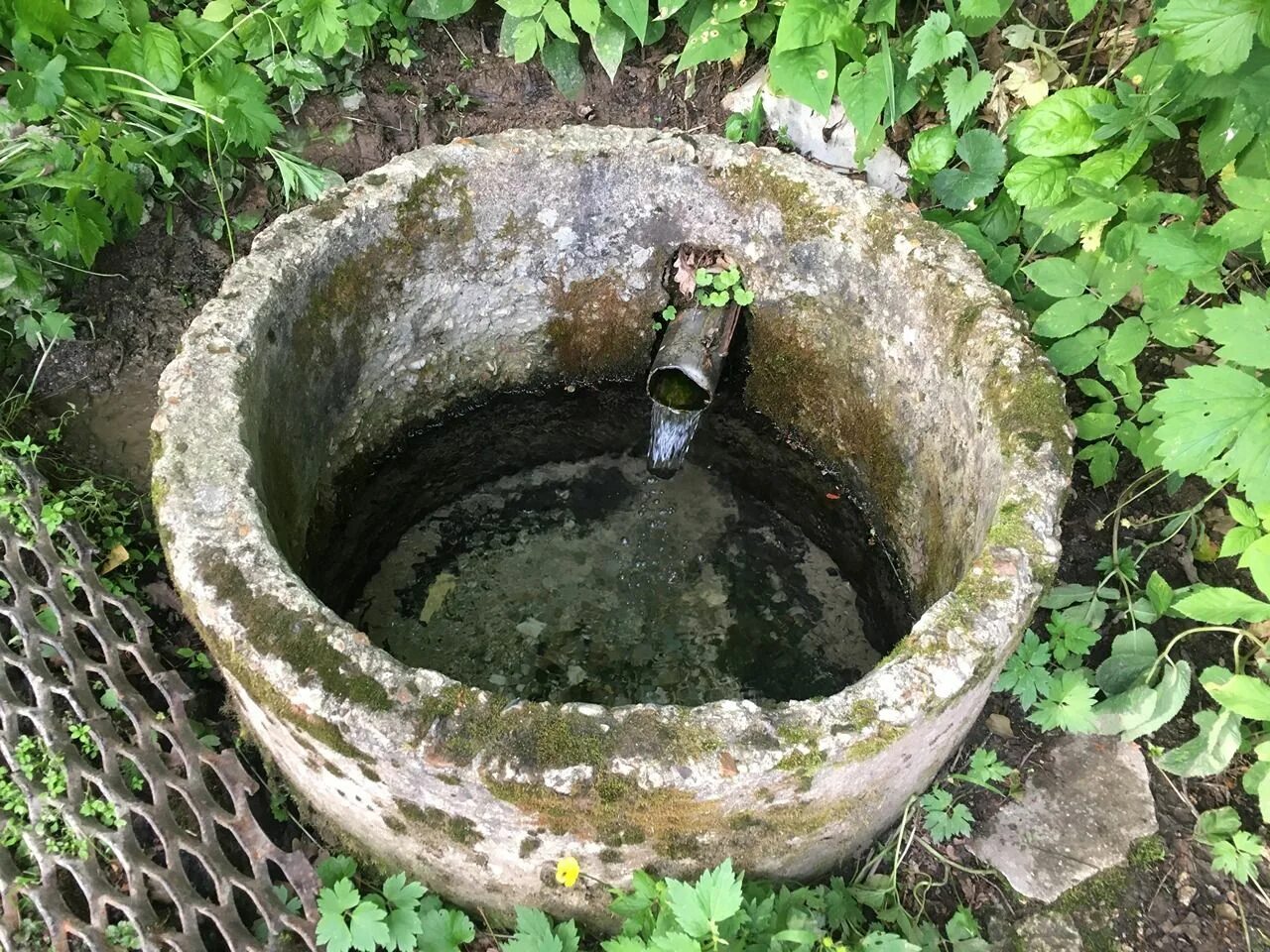 Сайт вода родник. Родник. Родник на берегу реки. Родников вода. Вода Карельский Родник.