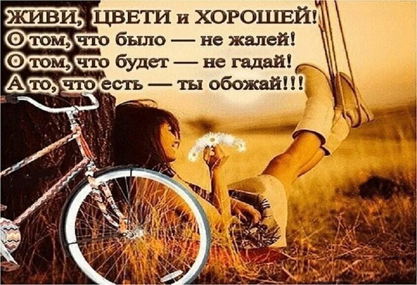 Это было есть и будет. Стих живу цвету и хорошею. Все в жизни будет хорошо. Живу цвету и хорошею цитаты. Живу цвету и хорошею о том.