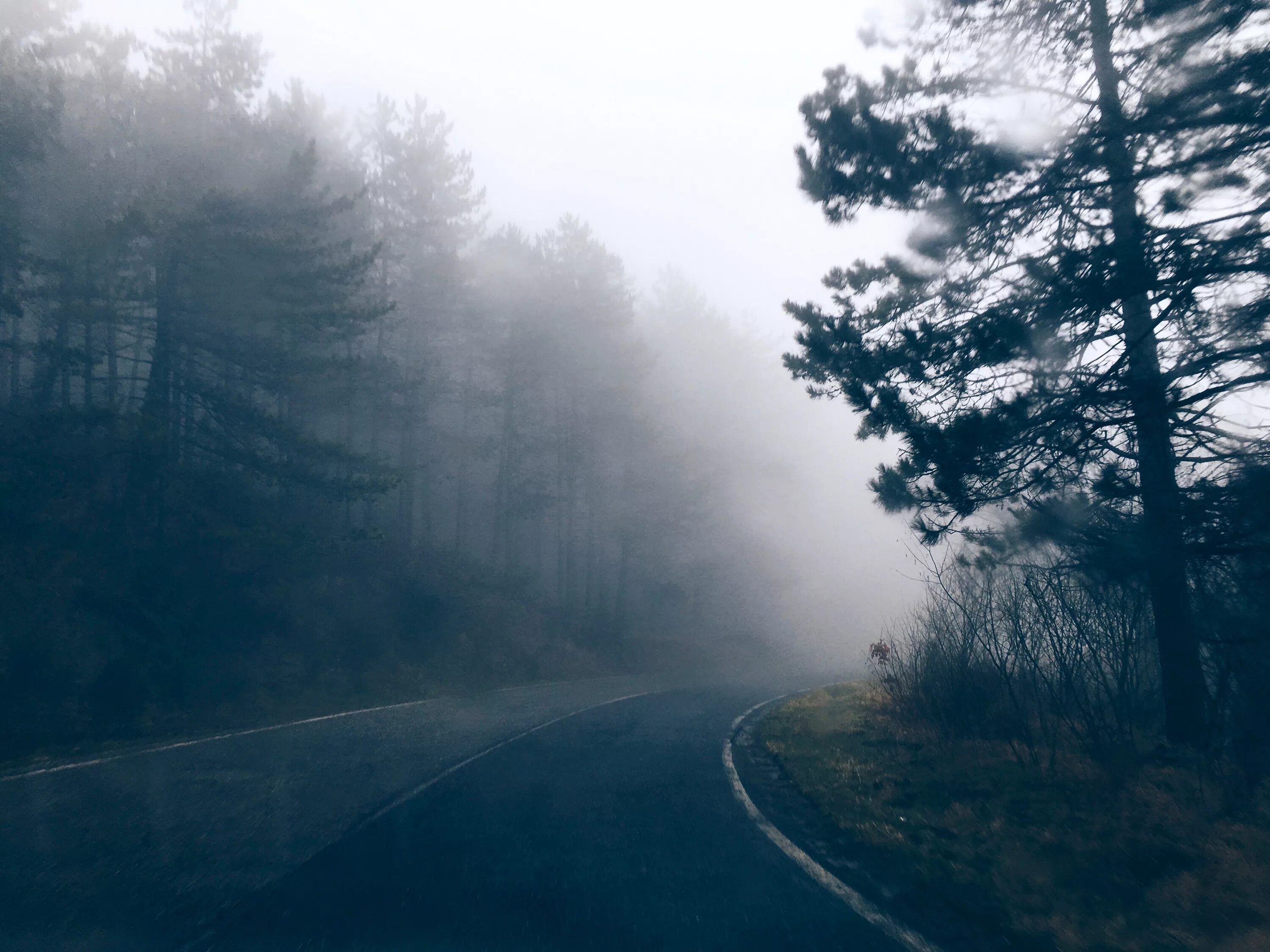Мен зе фог. Пепельный туман. Fog множество. Пепельный туман арт. Fog -38268.