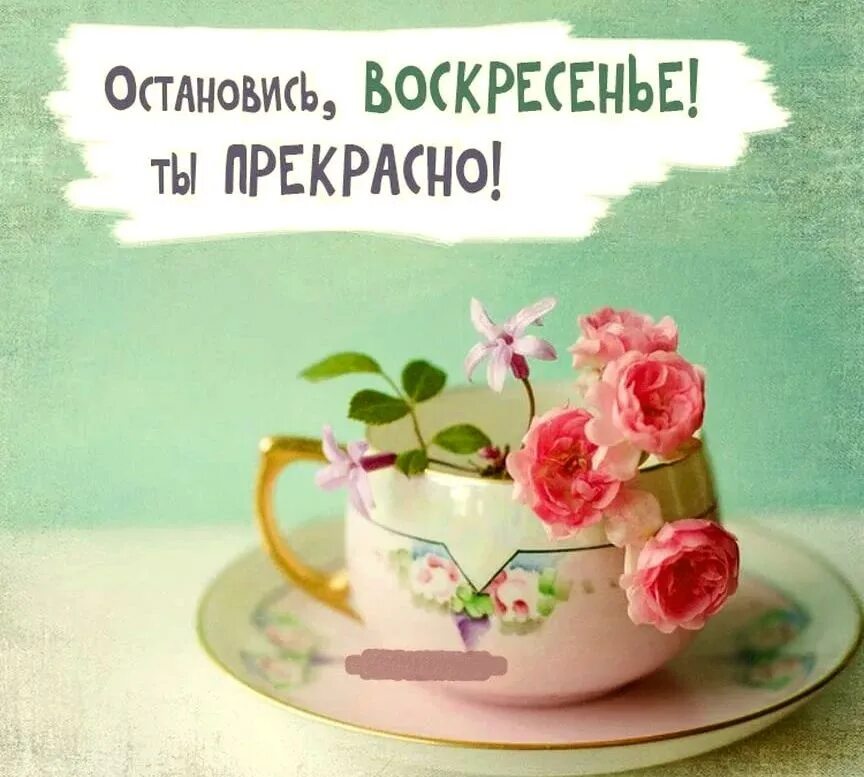 Доброе утро воскресенья прекрасного дня. Открытки с добрым утром воскресенья. пожелания с добрым воскресным утром. доброго воскресного утра и хорошего дня. воскресенье хорошего дня.