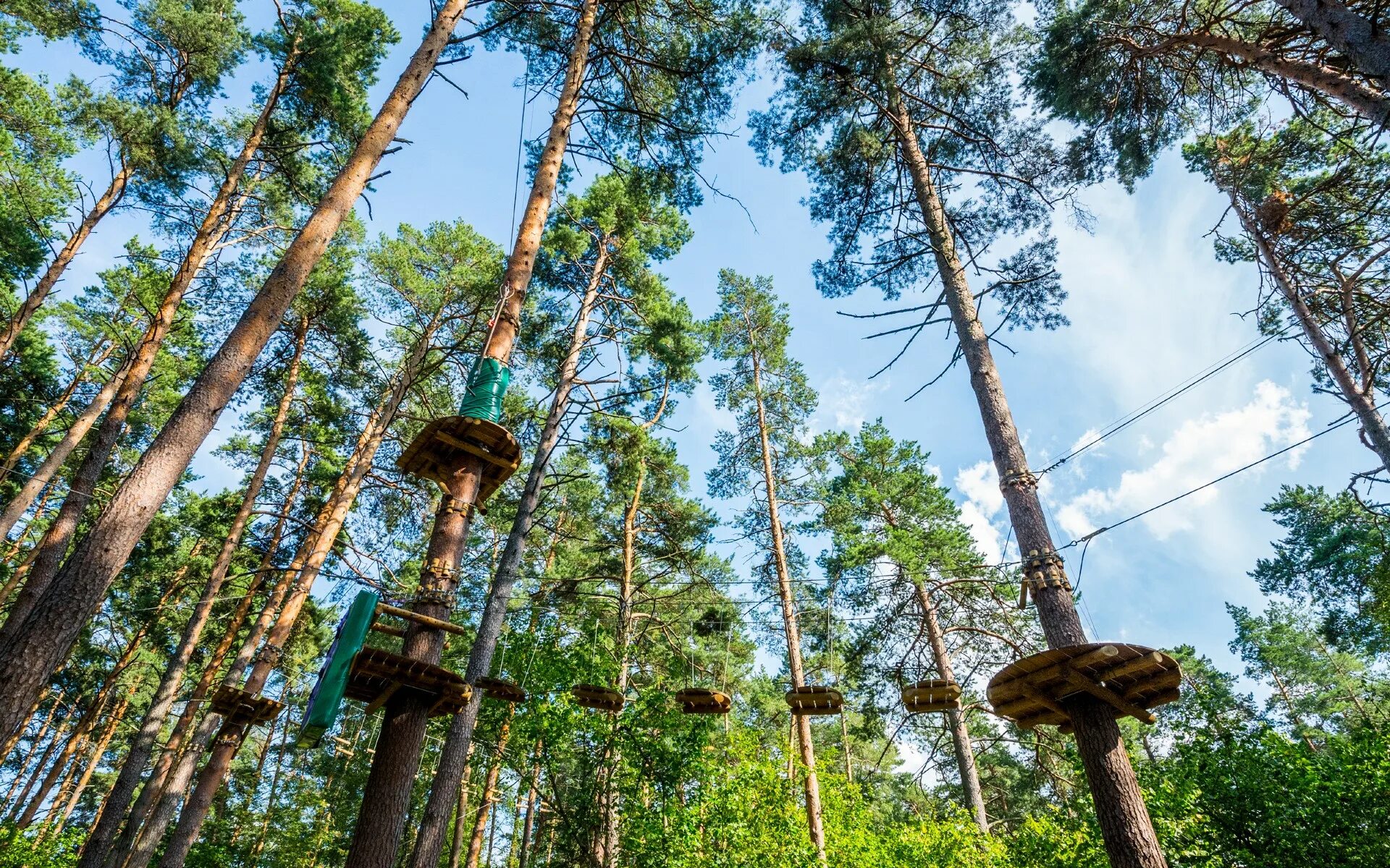 Веревочный парк norway park. Норвежский парк окуневая. Норвежский парк петрозаводск. Парк раздолье норвежский парк. Норвежский парк барвиха.