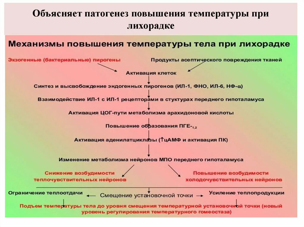 Повышение температуры системы. Патогенез повышения температуры. Патогенеза подъема в температур.