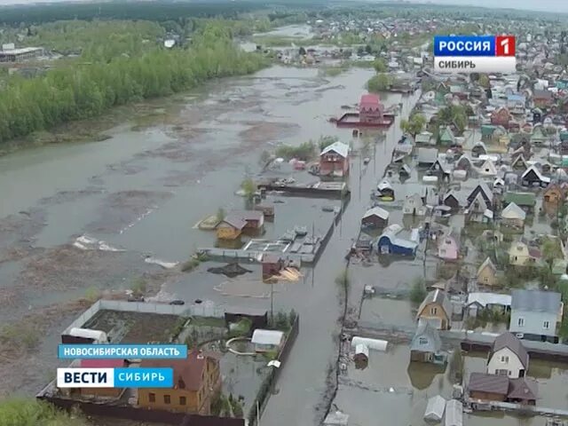 Река Обь в Новосибирске в паводок. Потоп в Новосибирске 2015. Наводнение в Новосибирске. Новосибирск подтопления.