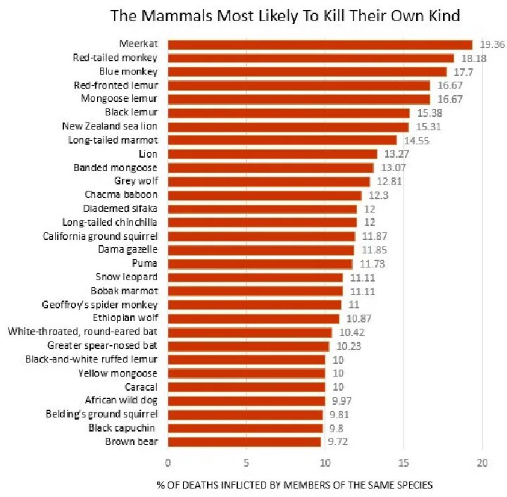 The most likely reason. Как будет! на русском most likely. Risk mitigation strategies. Quit leave различия. Together for the peace сочинение.