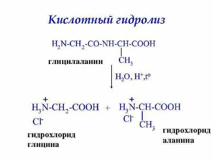 Взаимодействие глицина и аланина