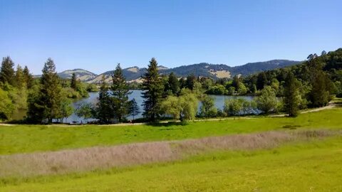 Spring lake
