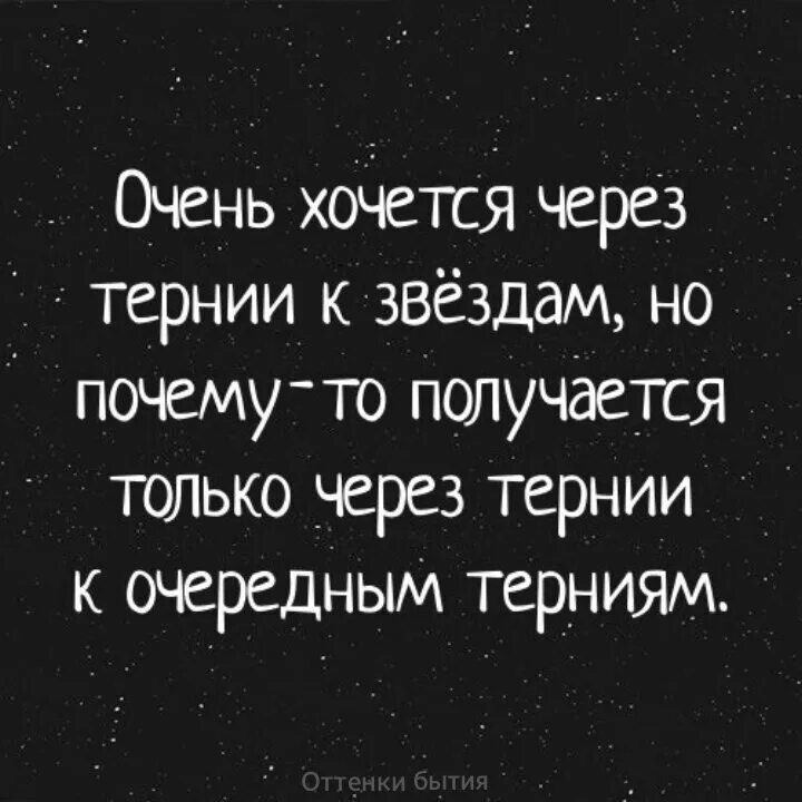 Через тернии к звездам цитата. Через тернии к звездам высказывание. Через тернии к звездам прмкол. Через тернии к звездам поговорка. Через тернии текст