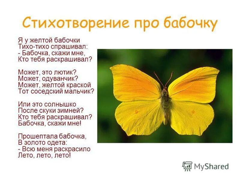 Слово желтый какое это слово. Стих про бабочку. Стих про бабочку для детей. Стихи для детей про бабочек для детей. Стихи про бабочку красивые.