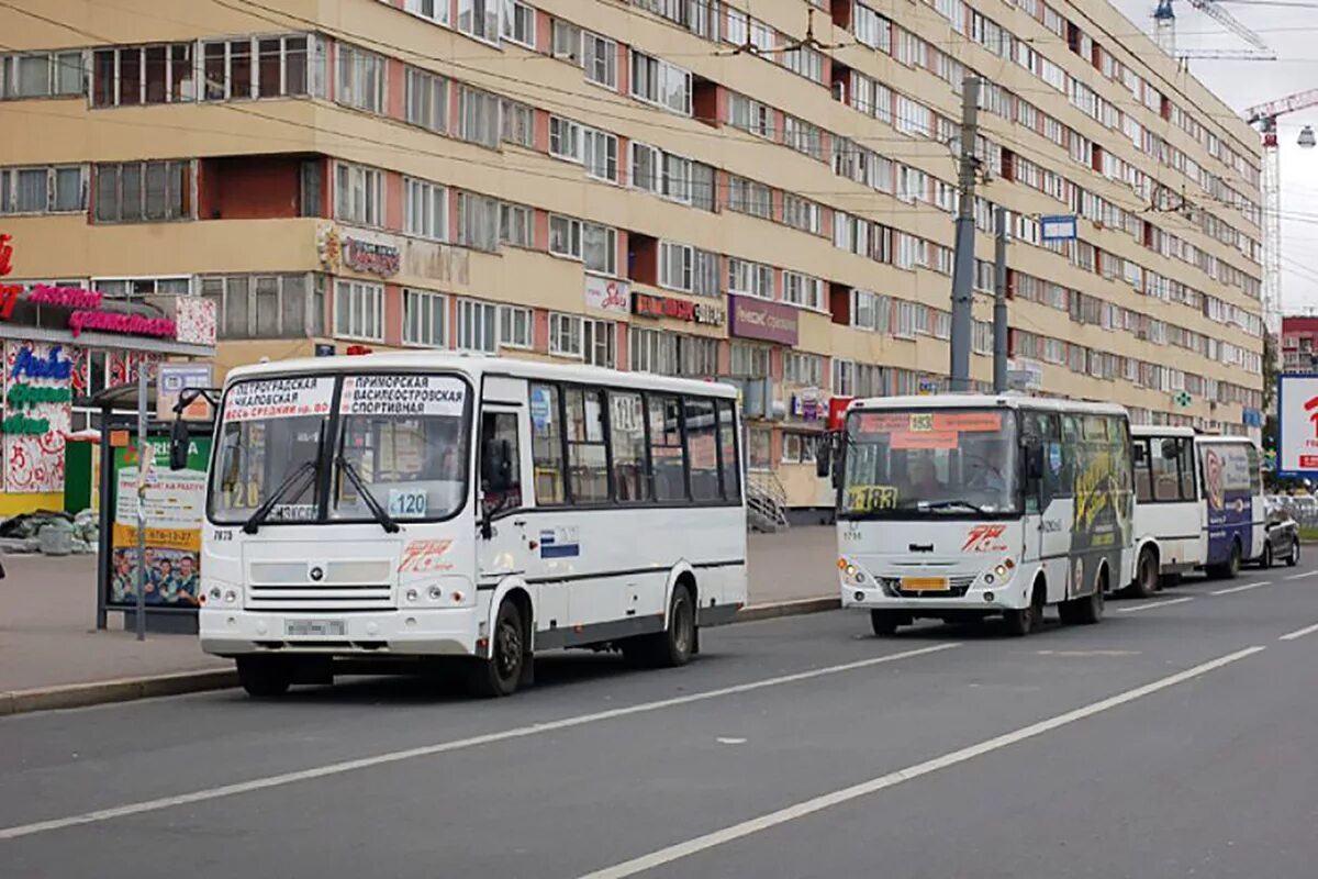 Автобусы спб рыбацкое. ЛИАЗ 5256 ПИТЕРАВТО. ПАЗ ПИТЕРАВТО. ОАО третий парк Санкт-Петербург. ПИТЕРАВТО парк.