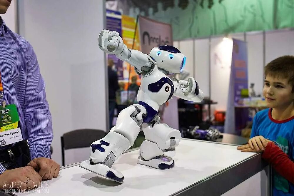 Робот танцует. Фестиваль роботов. Танцующий робот. Разные роботы. Robots 9 класс.