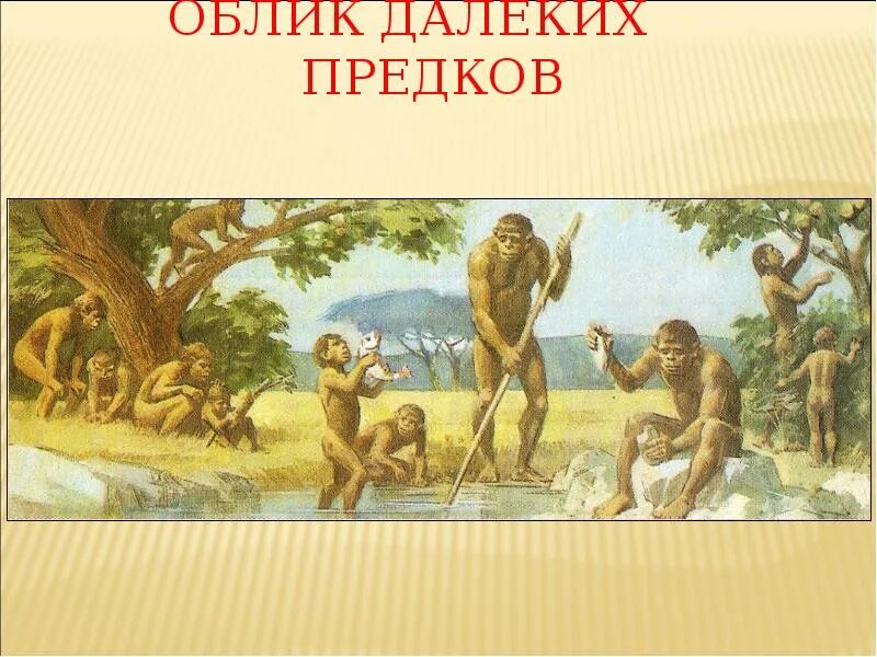 Презентация по истории на тему "Изобретения и открытия первобытных людей" (5 кла