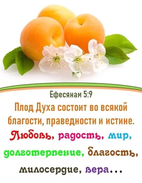 Плоды души. Плоды души. Плод духа любовь. Плоды духа святого в библии. Плоды души.