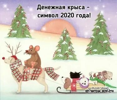 Природа лета 2025 года