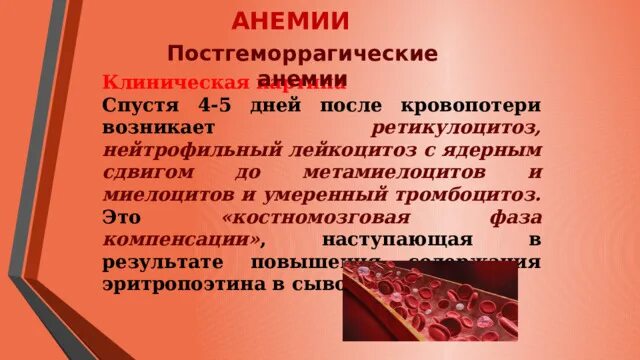 Метамиелоцитам присущи все свойства кроме