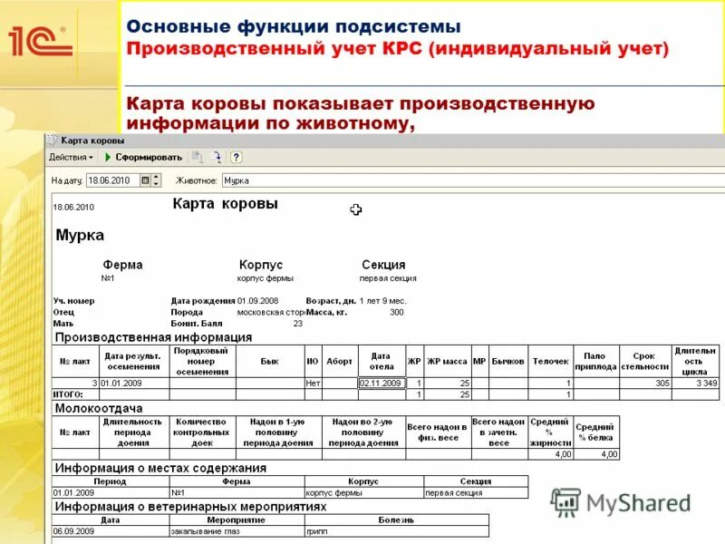 Цели персонифицированного учета. Документ индивидуального персонифицированного учета это. Задачи индивидуального персонифицированного учета. Схема цели индивидуального персонифицированного учета. Система индивидуального персонифицированного учета что это.