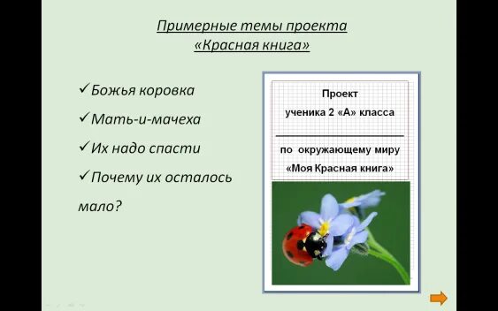 Презентация к уроку окружающего мира "Будь природе другом!" во 2 классе