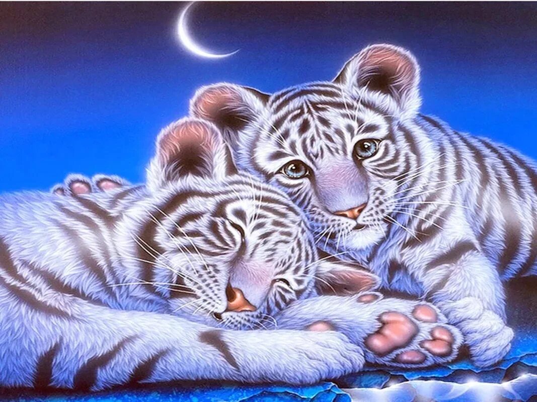 Открытки спокойной любимая. Кентаро Нишино художник. Кентаро Нишино тигры. Спокойной ночи. Открытки спокойной ночи.