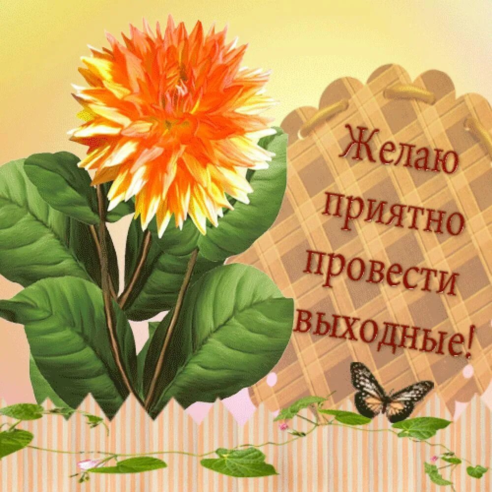 Желаю выходных. Пожелания на выходные. приятные пожелания. пожелания хороших выходных. выходной картинки.