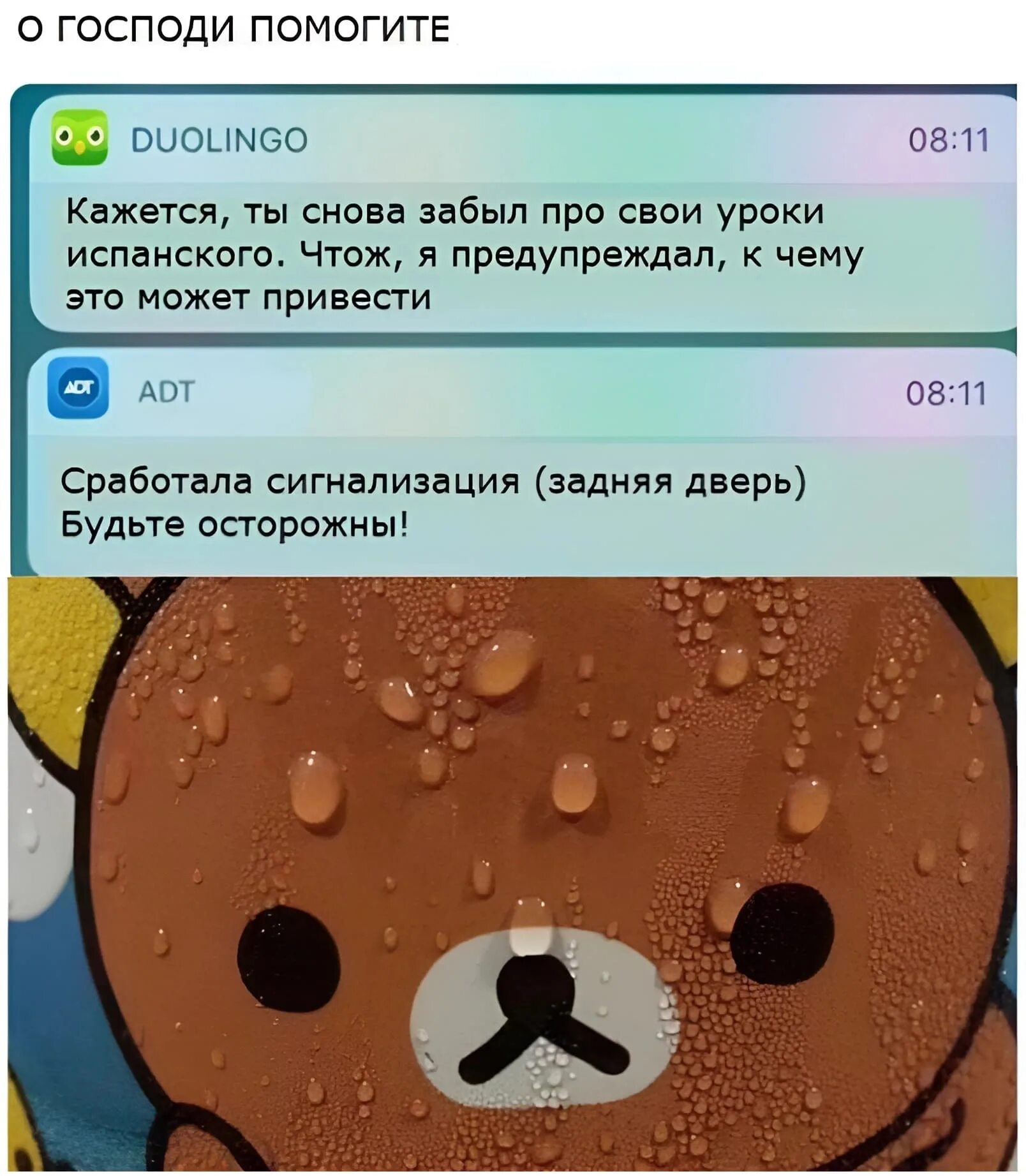 Хоми. Начать сначала цитаты. Заново забыл. Дуолинго мемы. Опять забыла посоветоваться с незнакомыми мне людьми.