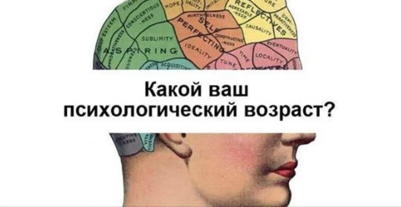 Тест на психологический возраст по картинкам. Тест на психологический возраст по картинкам. Тест на психологический возраст. Тест на психический возраст пройти. Тест на психологический возраст.