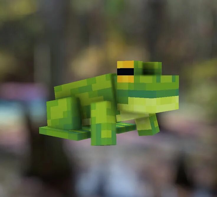 The man from the frog minecraft