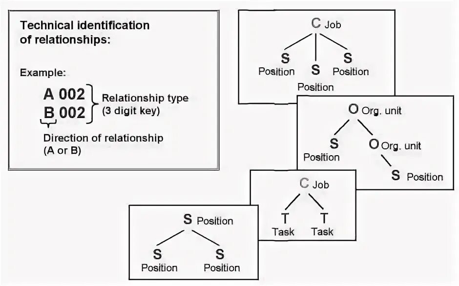 Unit position. Organization unit. unit 1 relationships.
