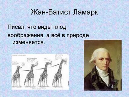 Руз биолог