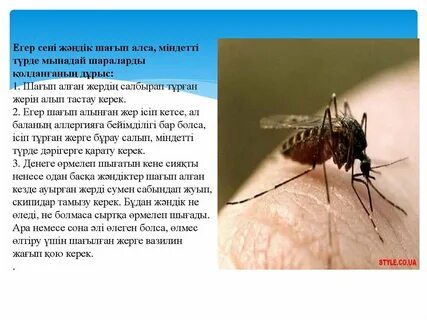 Жас жұбайларға арналған порнофильмдер