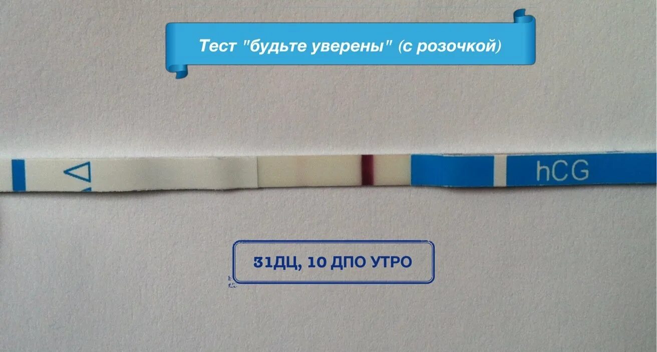 Тест буд. Тест на беременность. Тест будьте уверены. Тест на беременность будьте уверены. Тест будьте уверены ДПО.