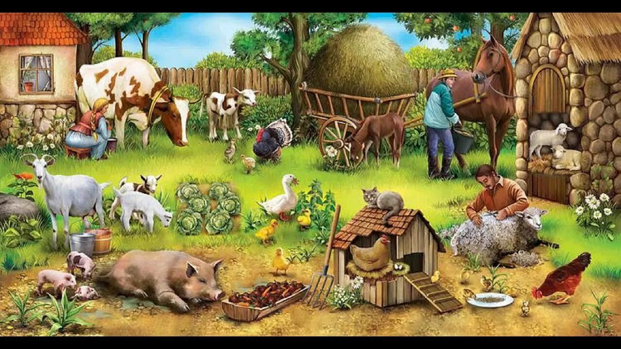 Ферма жили были. Домашние животные на ферме. Скотный двор в деревне. Скотный двор для детей. Домашние животные на скотном дворе.