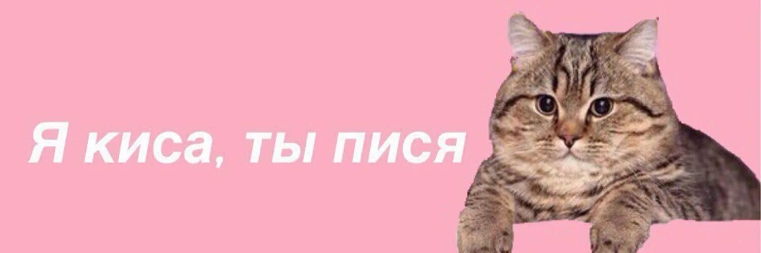 Кис ю. Котик. кис кис я котик ты котик. я киса. киса надпись.