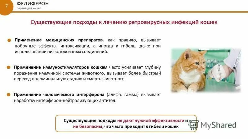Как выглядит отравление у кошки Статьи сообщества Зоомагазин Зверюшка г. Орск ВКонтакте