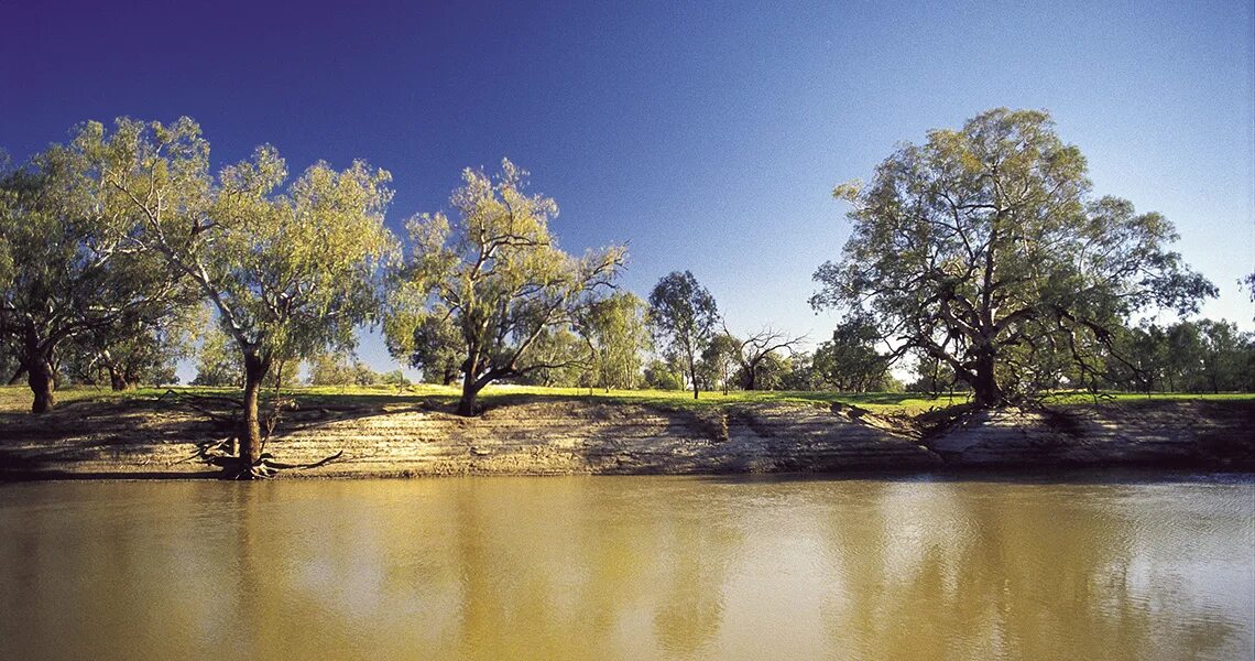 Дарлинг приток. Река Дарлинu Австралии. Река Дарлинг в Австралии. Река Муррей в Австралии. Австралия река Муррей Дарлинг.