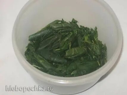 Ферментация чая в морозилке