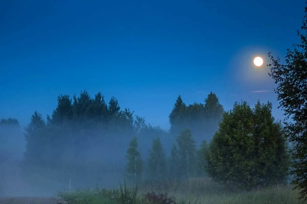 Цветы спи ночь в июле только шесть часов. Ночь в июле только шесть часов. Спи ночь в июле только шесть часов. Ария ночь в июле. Ночь в июле только шесть часов.
