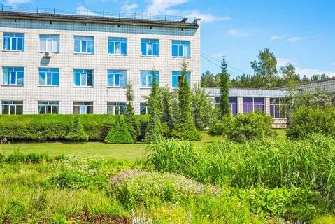 Сайт цсбс со ран новосибирск