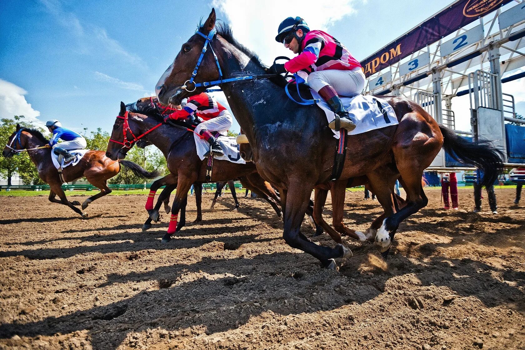 Ипподром краснодар. Краснодар скачка. Краснодар скачка. Скачки краснодарский ипподром 2023. Краснодар скачка.