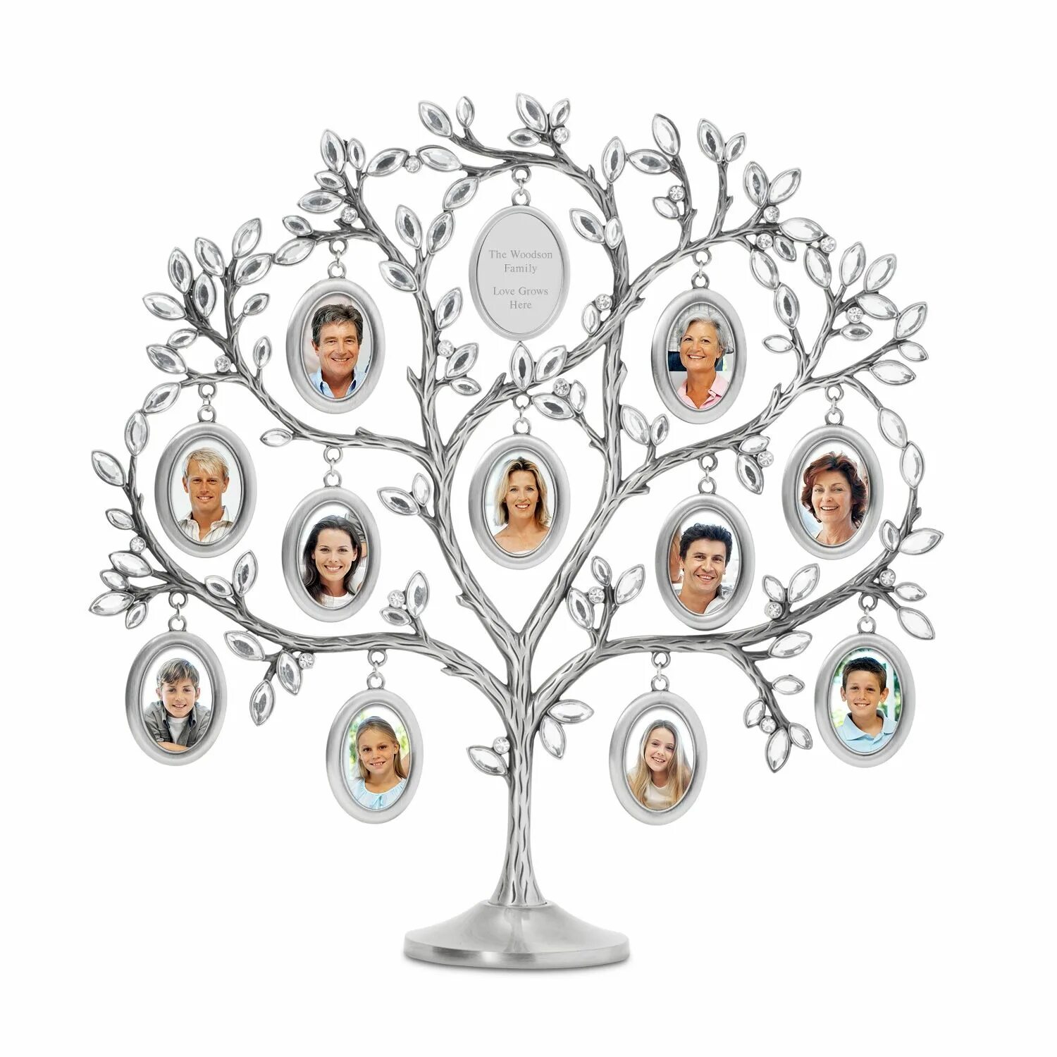 Что такое родословное древо. Family Tree(семейное Древо). Древо семьи Майклсонов. Семейное6 Древо Пруэттов. Геологическое родословное дерево.