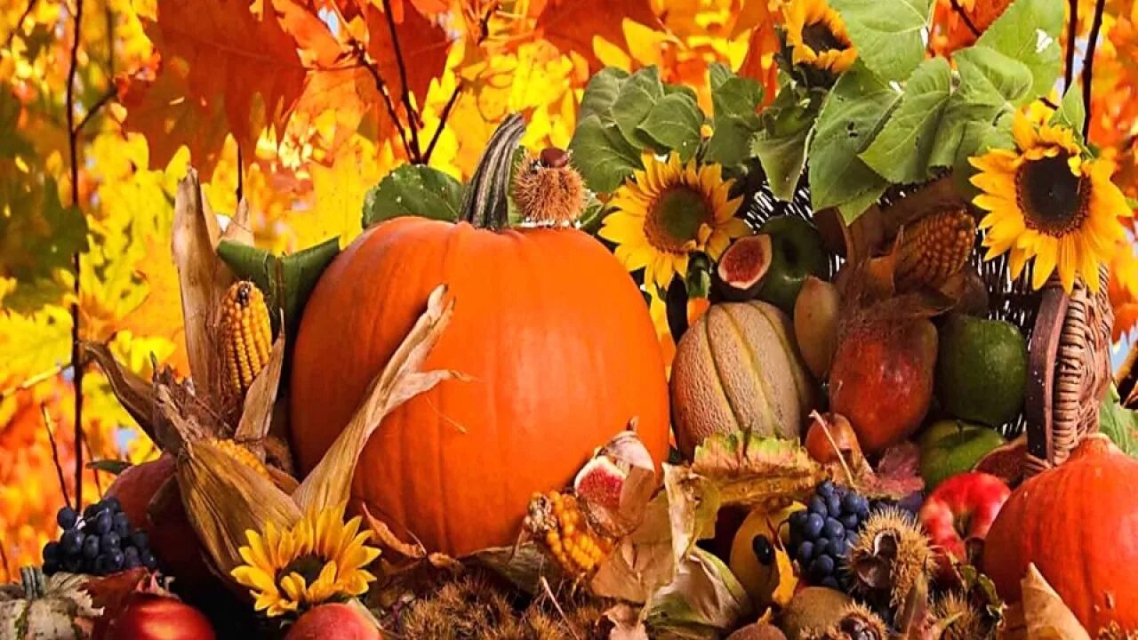 Хороша осень плодами. Плоды осени. Осень урожай. Осенний праздник урожая. Осень богатый урожай.