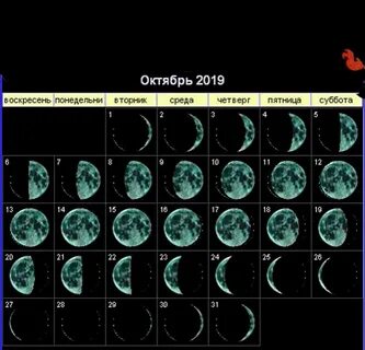 Фазы луны в ноябре 2024г